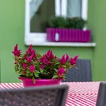 Dualis Hotel