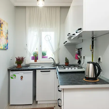 酒店 杜阿莱斯酒店 伊斯坦布尔