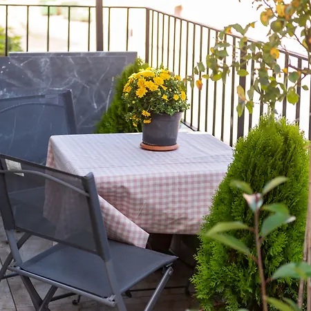 酒店 杜阿莱斯酒店 2*