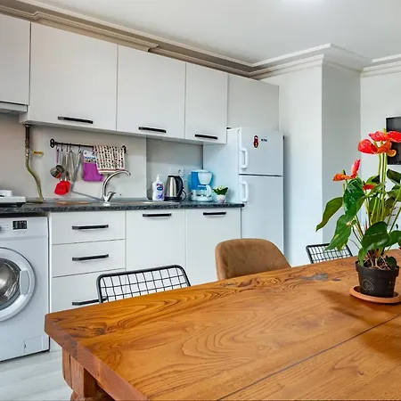 杜阿莱斯酒店 酒店