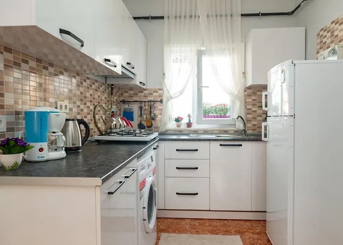 酒店 杜阿莱斯酒店