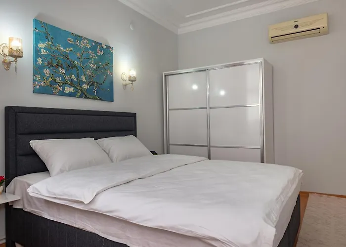 杜阿莱斯酒店 伊斯坦布尔