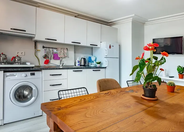 杜阿莱斯酒店 酒店