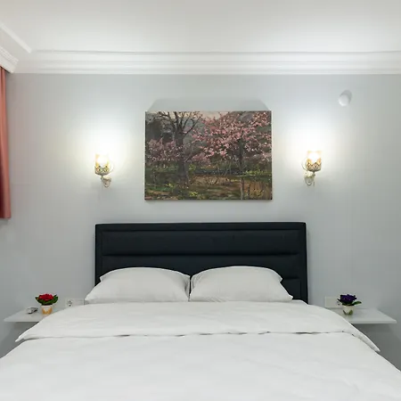 Hotel Dualis Stambuł